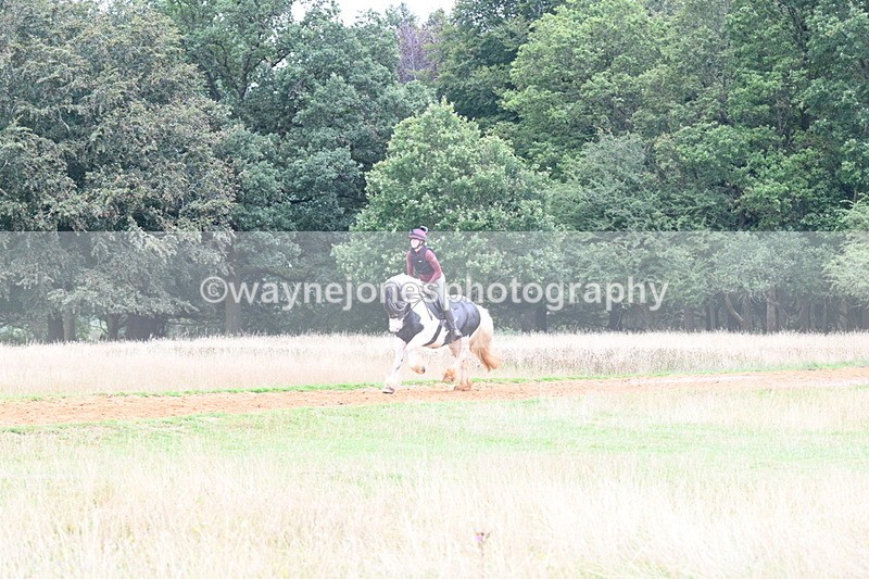 DSC_9678 - Time at Statue 15:11 to 15:58