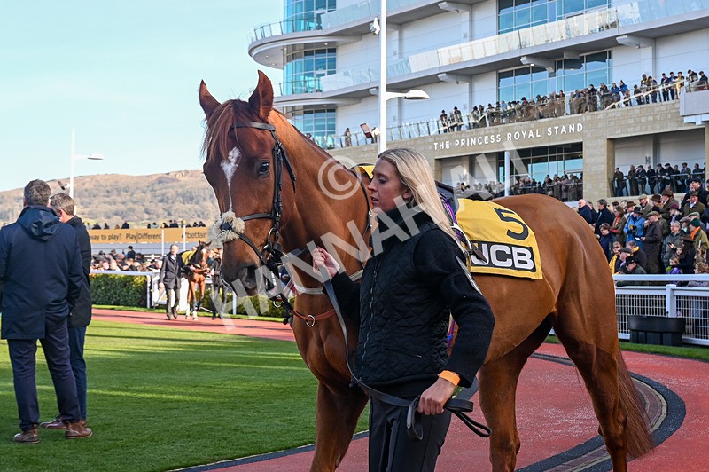 250125-Race 2-Teriferma-3129 - Race 2