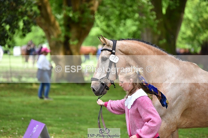 240522-155844-00616 - 109-MJM_BOBBY_DAZZLER-Rosie_Ringer