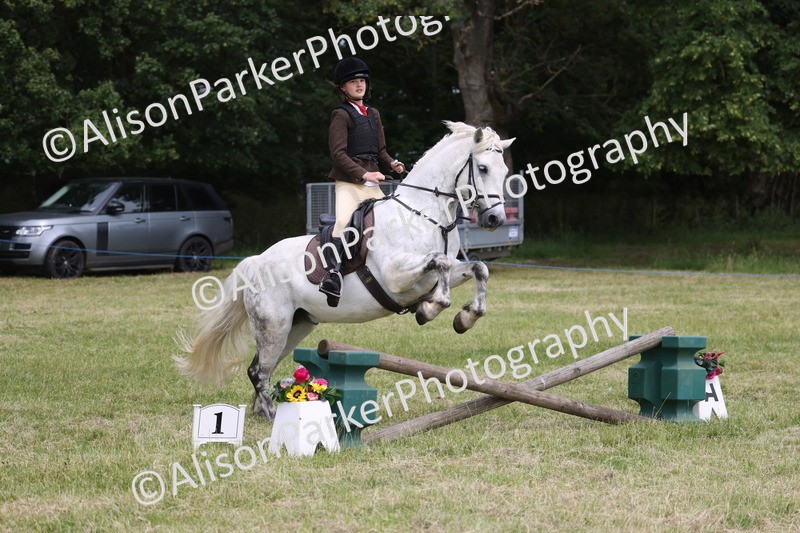 20260614-2987 - Class 22 - Open Working Hunter