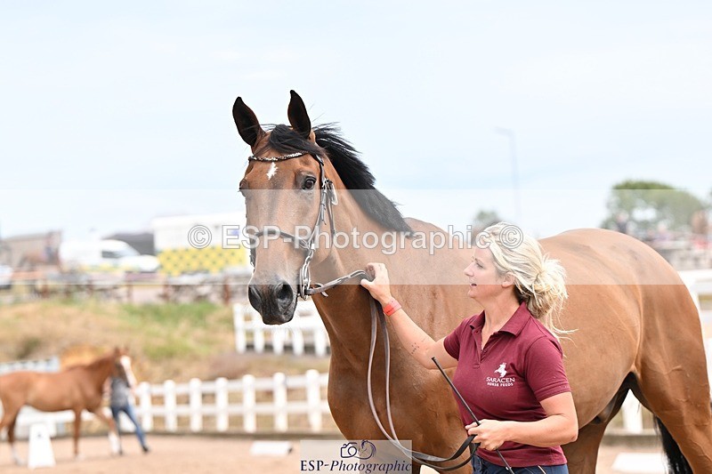 250716-153643-02043 - Trot Up 3.30 to 4.30