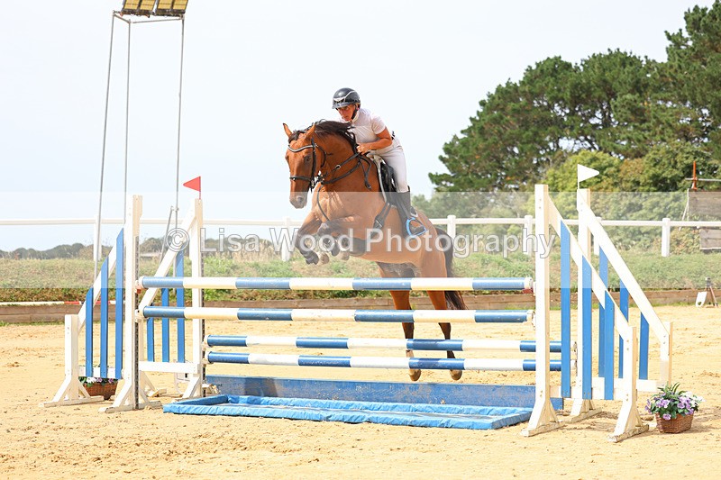 3E7A4269 - Class 8: Senior Foxhunter/1.20 open