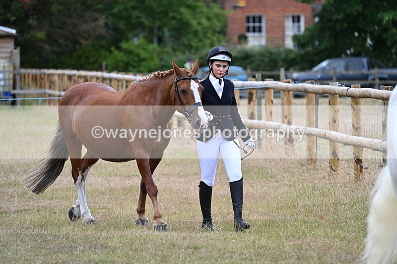 WJ7_9037 - Class 4a Prettiest Mare 14.2hh and over