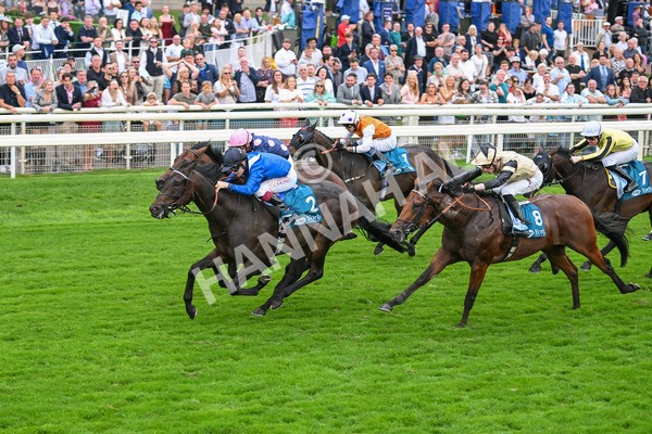 080925-Race 5-Elmonjed-7708 - Race 5 4.30pm Sky Bet Starman Garrowby Stakes