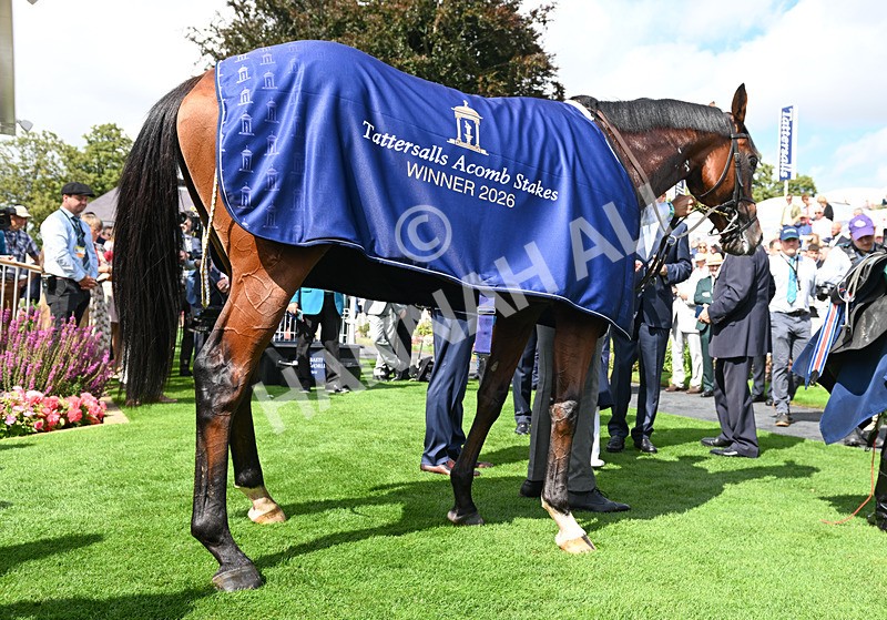 190826-060 Haffner - Race 2 14.25pm Tattersalls Acomb Stakes