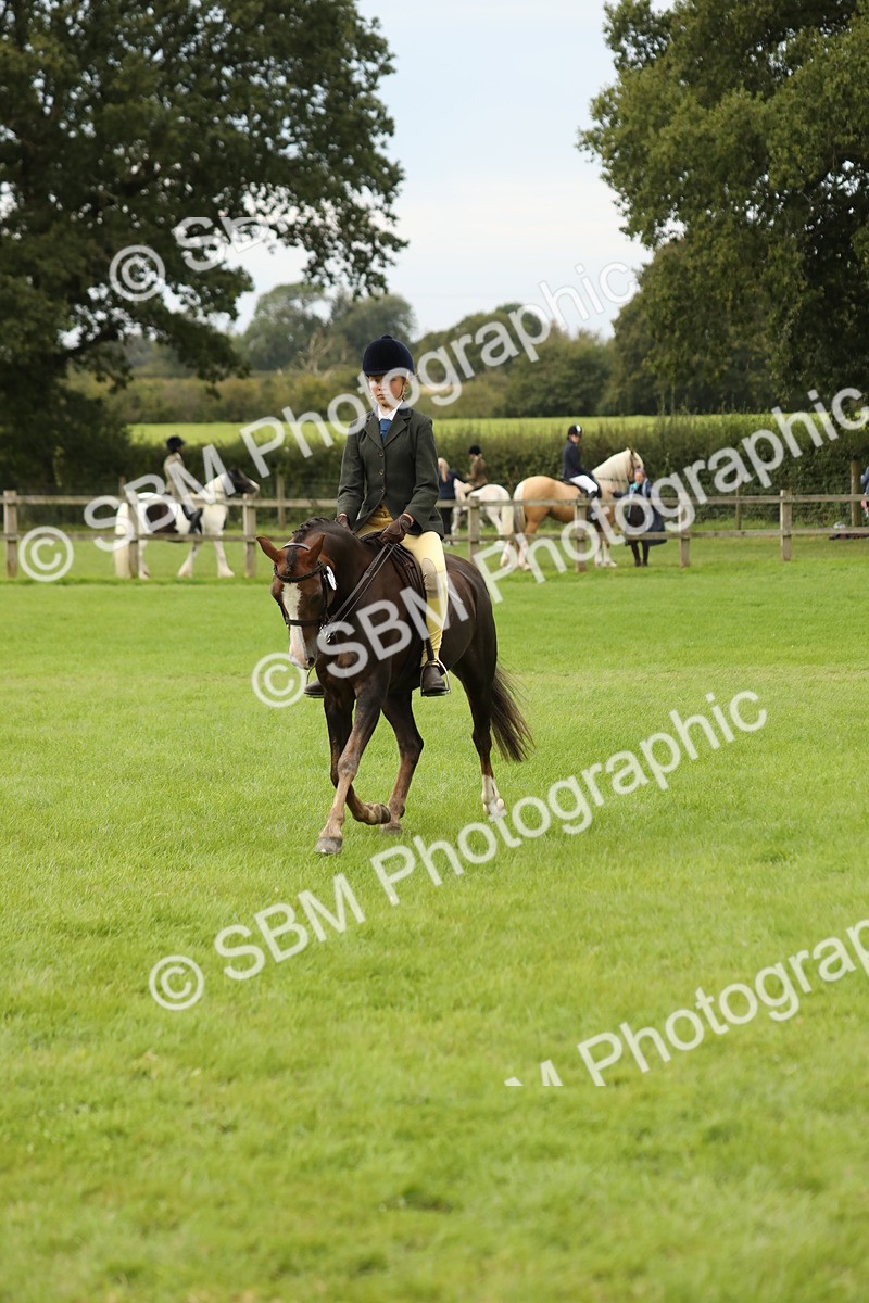 SBM_71649 - S41 - Ridden Equitation (Best Rider)