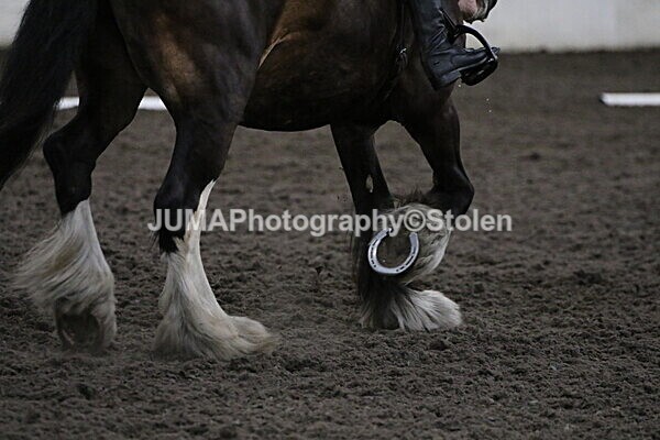 SIAL4341 - CAbin Dressage 5th july 2025