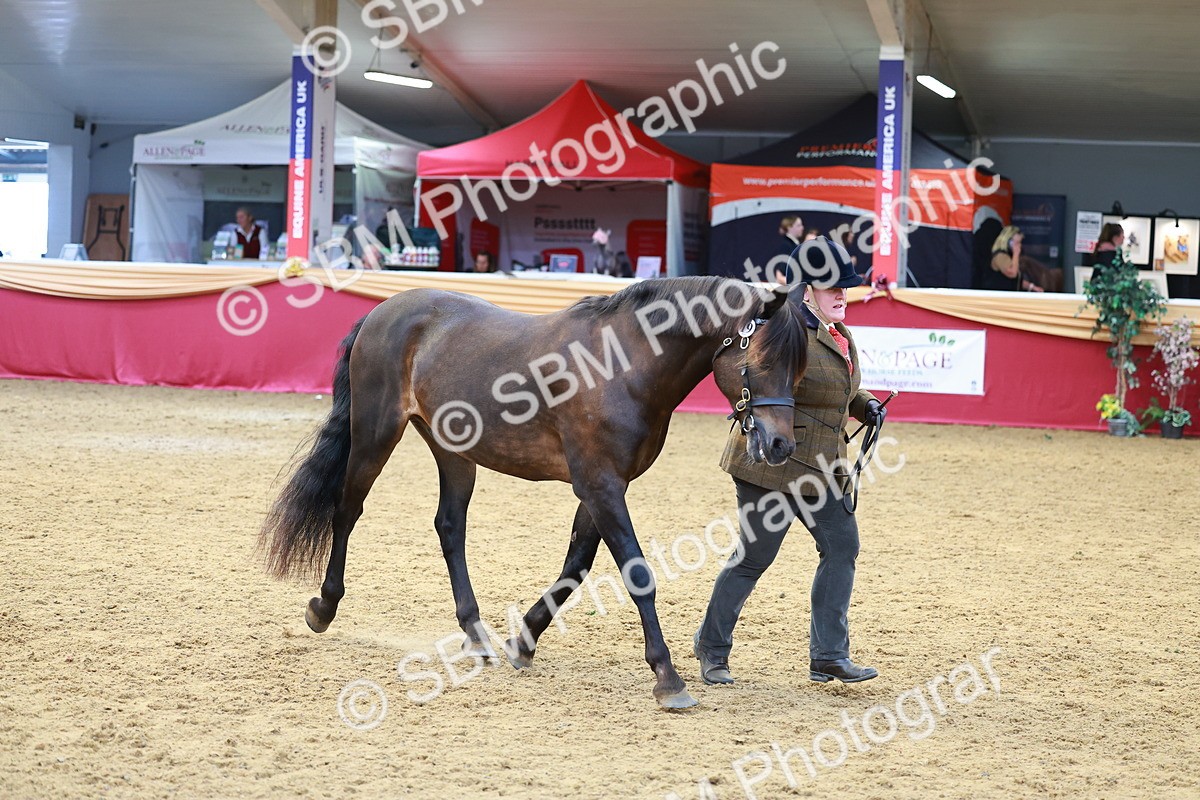 SBM_04129 - Class 9R - IH Pre-Vet