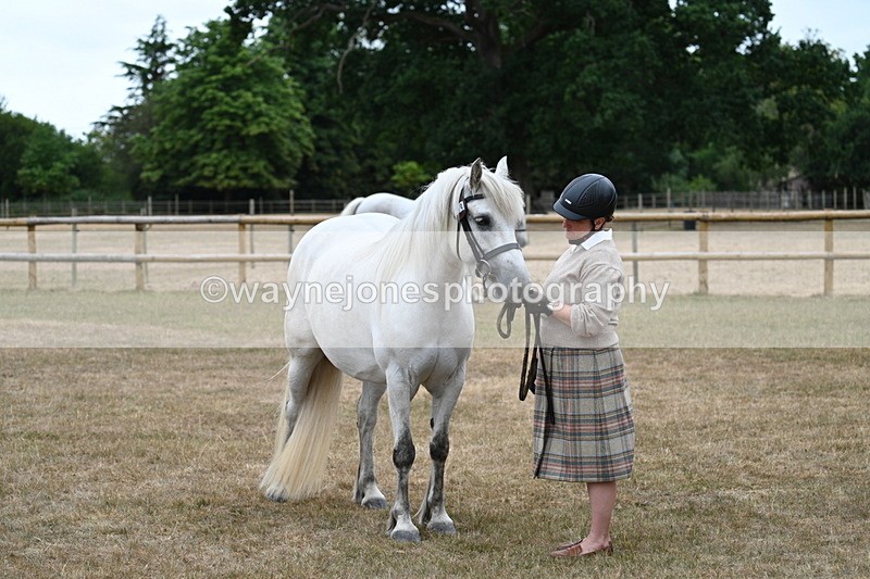 WJ7_9179 - Class 4a Prettiest Mare 14.2hh and over