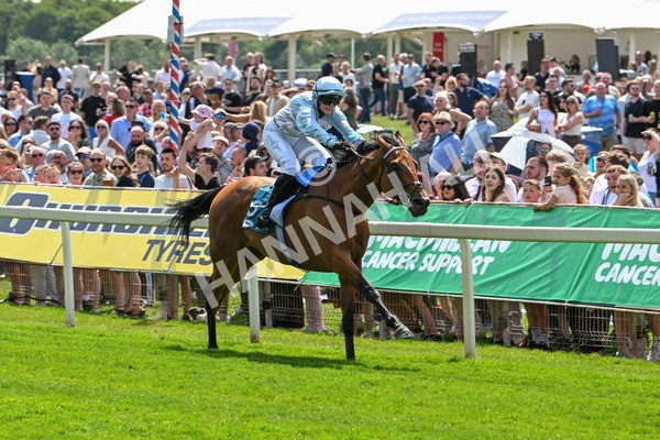 140625-Race 2-My Dream World-2314 - Race 2 2.25pm Queen Mother's Cup Handicap