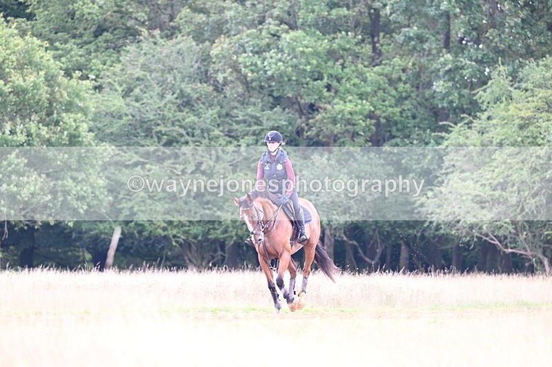 DSC_7365 - Time at Statue 13:16 to 13:52