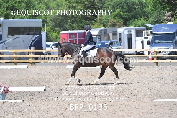 BPP_0185 - SHORT ARENA  MY QUEST PRELIM