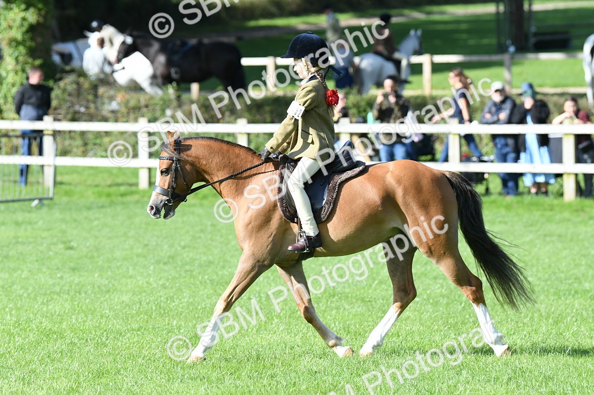 SBM_50373 - S21 - Novice & Newcomers 1st Ridden Pony