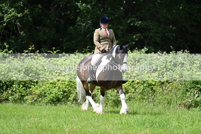 WJ7_1909 - Class 12A Coloured Class