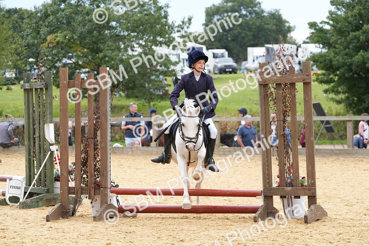 SBM_70728 - J3 - Mini Tour Junior Pony 40cm Championship