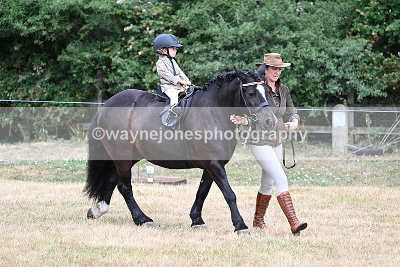 WJ7_9856 - Class 1 Lead Rein Pony