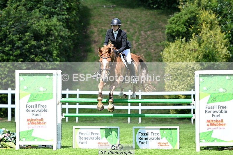 250703A-110335-03026 - Cls 1 Snr Foxhunter