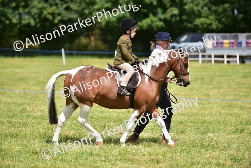 20260614-1366 - Class 11b - Lead Rein Pony (Plaited)