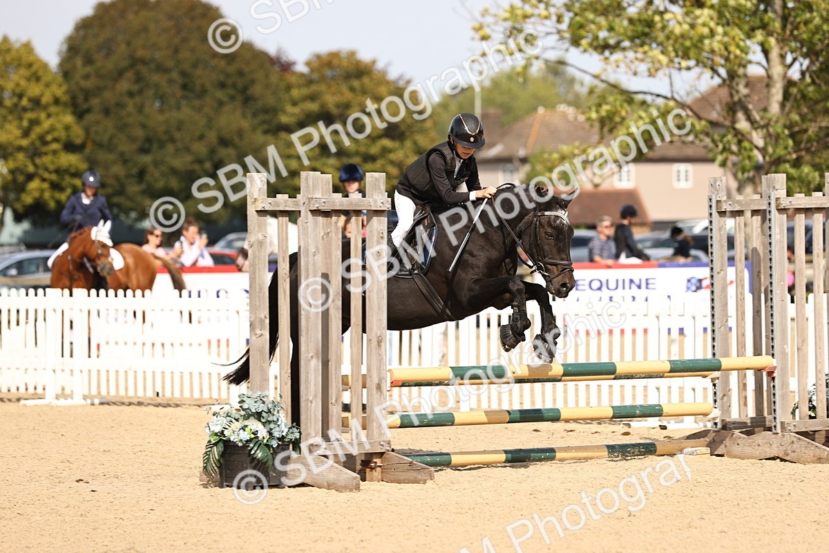 SBM_69480 - J13 - Junior Pony 60cm Championship