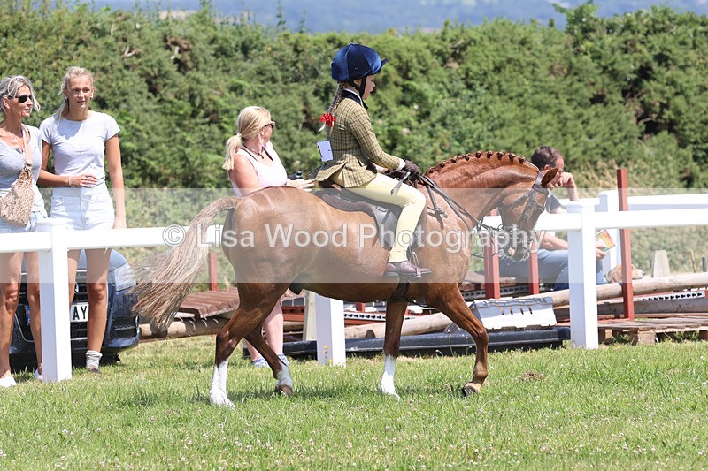 JPP_2707 - Class 21: Working Hunter 60cm