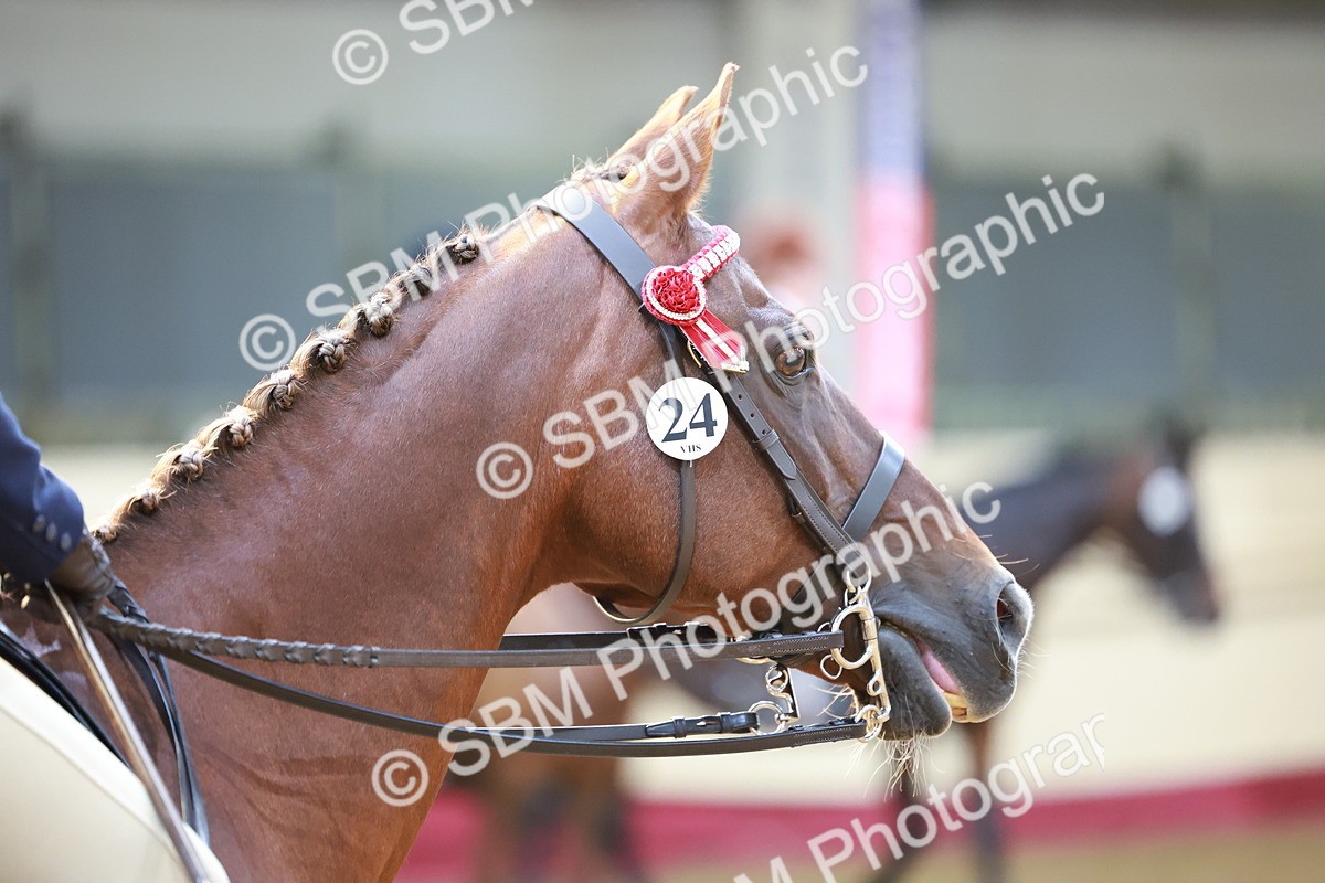 SBM_11926 - Class 102 - Equitation (Best Rider) Adult
