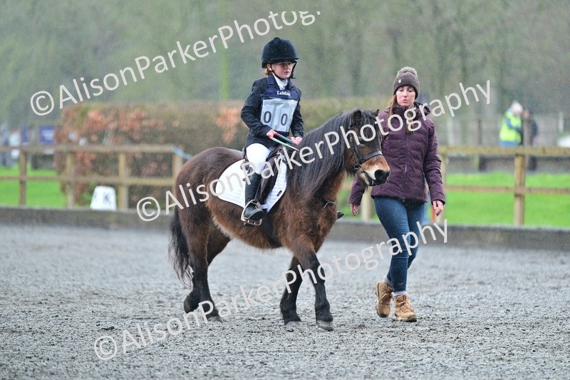 20260125-0874 - Class 9a - Walk Trot Assisted