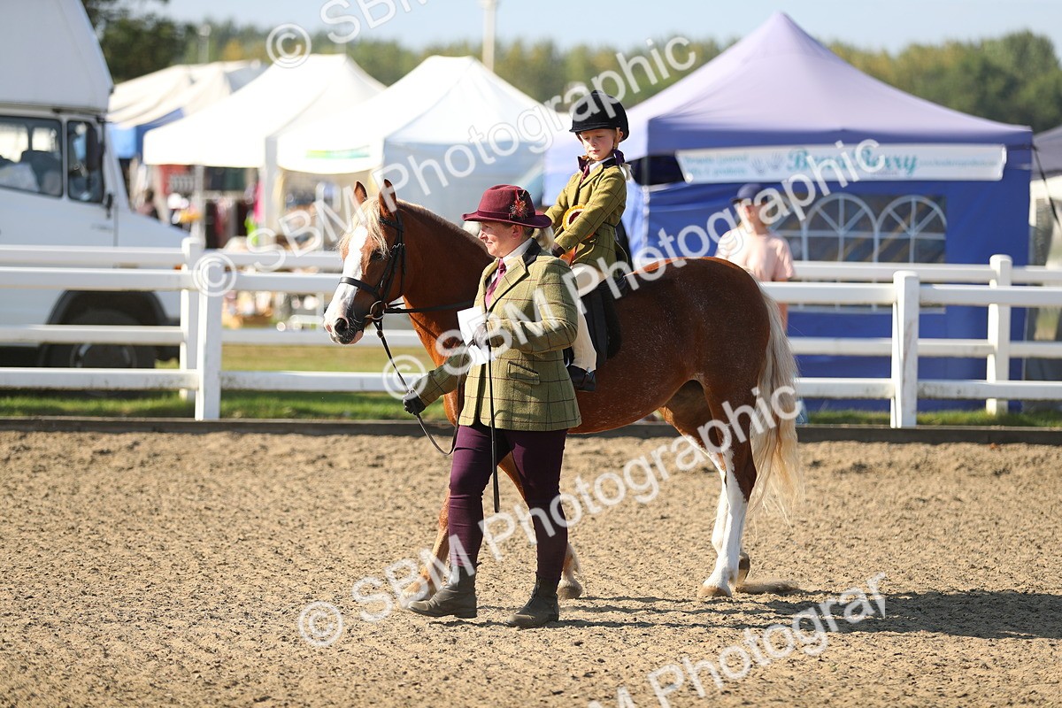 SBM_00500 - Class 41 Best Turned Out Ridden