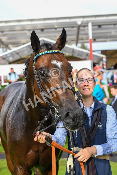 260823-Race 7-Astro King-1127 - Race 7 Sky Bet Finale Handicap at York