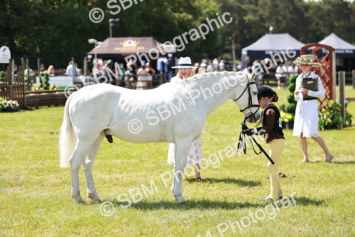 SBM_15652 - Class 108-109 - BSPS LIHS Open Gradle & Nursery Stakes