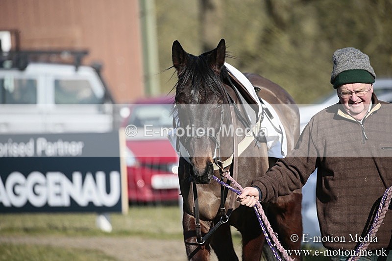 PtP 240218 433 - Vine & Craven Hunt Point-to-Point Barbury racecourse 24/02/18