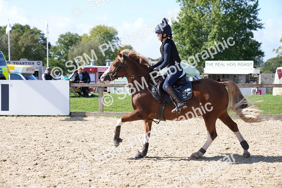 SBM_04995 - J56 - Clear Round 70cm
