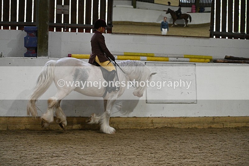 WJ7_3815 - Class 17 Ridden Cob
