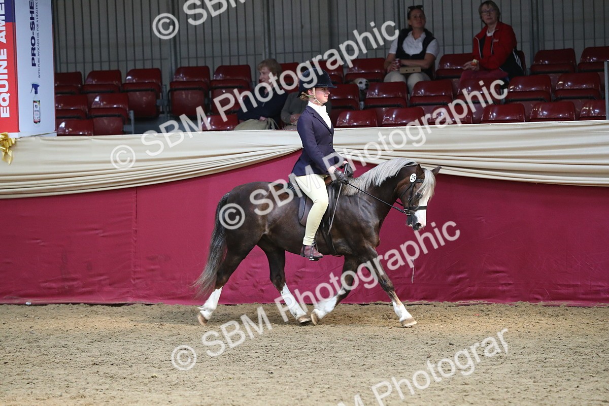 SBM_16318 - Class 502 M&M Ridden Supreme Final