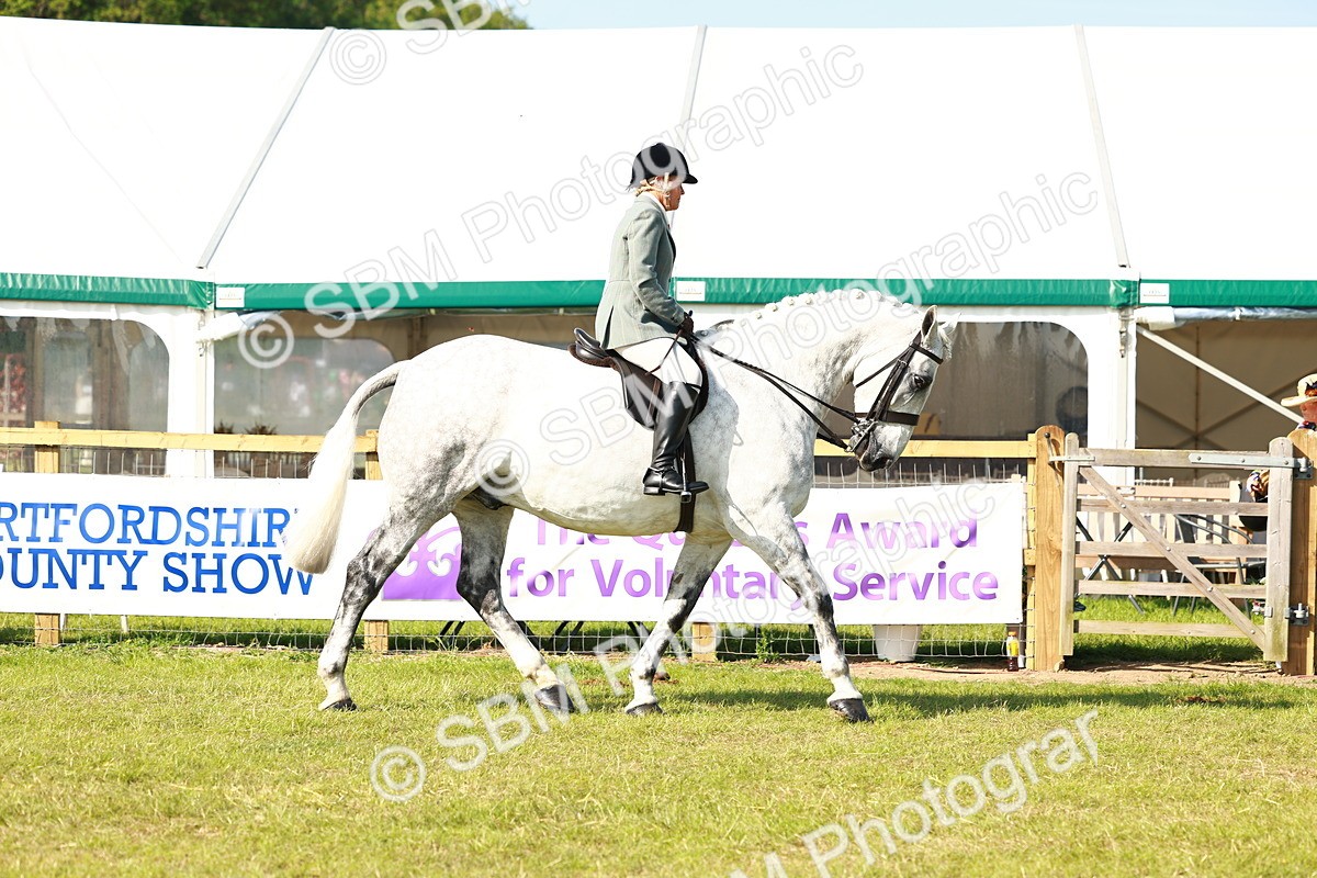 SBM_11751 - Class 66-69 - RIHS Ridden Hunters Inc Small Hunter