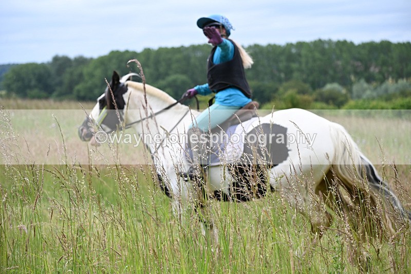 WJ6_8147 - Camera 1 Gallops