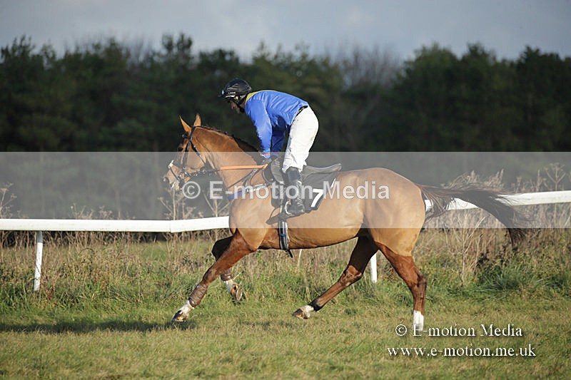 PtP 011219-0266 - Hursley Hambledon Hunt Point-to-Point 01/12/19