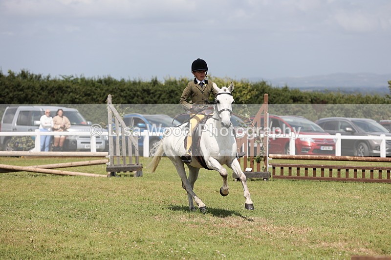 JPP_2095 - Class 19: Working Hunter 60cm