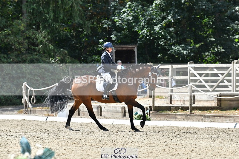 260801A-120553-03794 - Prelim SIlver Break - End