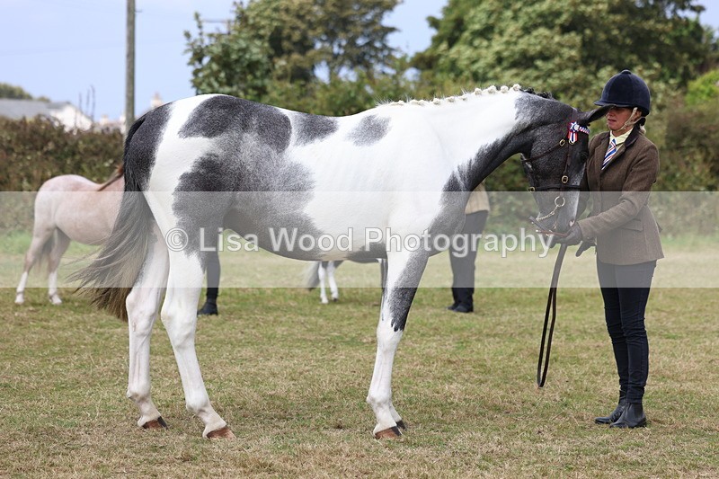 3E7A5397 - Class 19: Best Coloured in Hand