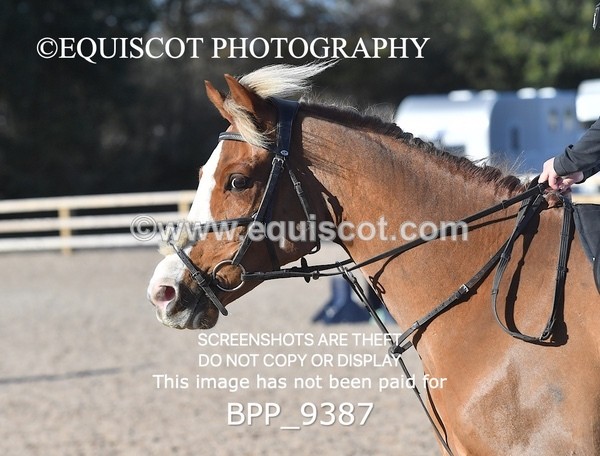 BPP_9387 - CLASS 4 70CM