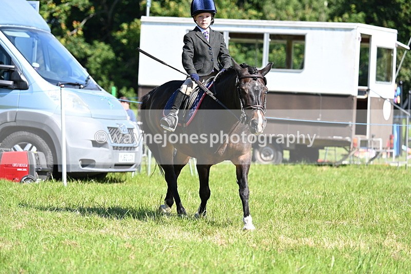 WJ7_0608 - Class 8 First Rally Pony