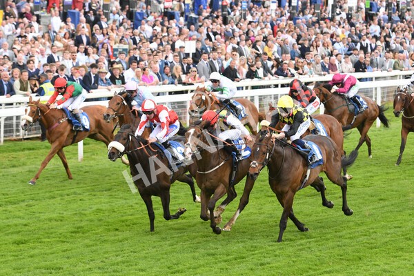 yr21052022r1-16 - Race 1: 1:40pm William Hill Play Responsibly Stakes