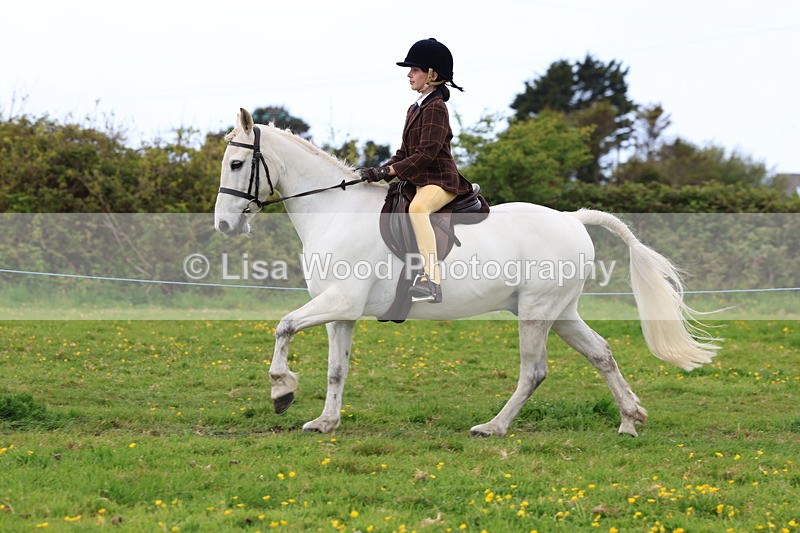 3E7A1853 - Class 9: Riding Club Horse/Pony