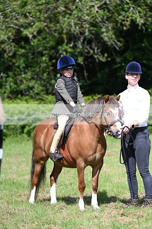 WJ7_0779 - Class 8 First Rally Pony