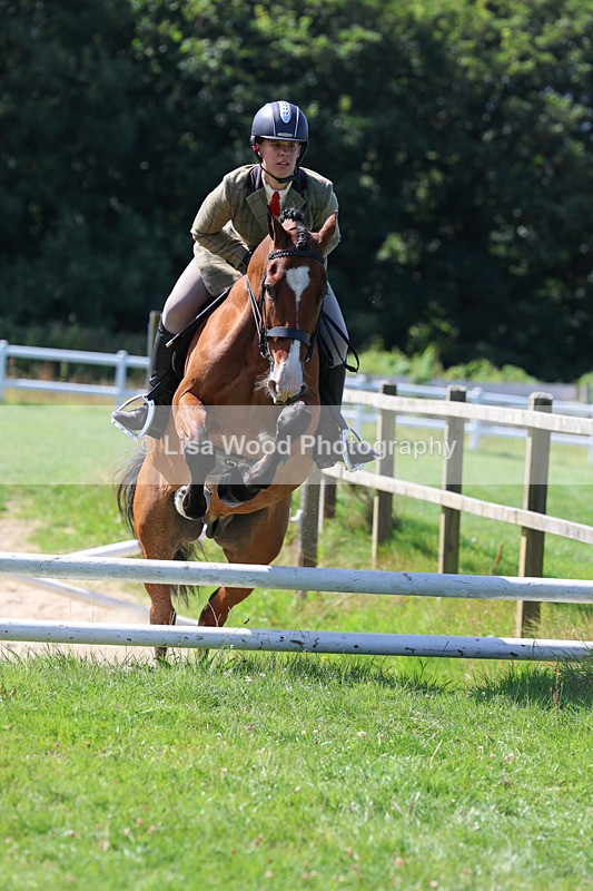 3E7A8554 - Class 5: Working Show Horse