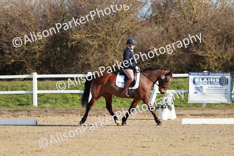 20260314-0033 - CT1 - Intro 1