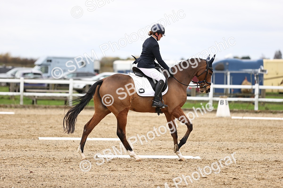 SBM_003556 - Class 11 - Elementary 1