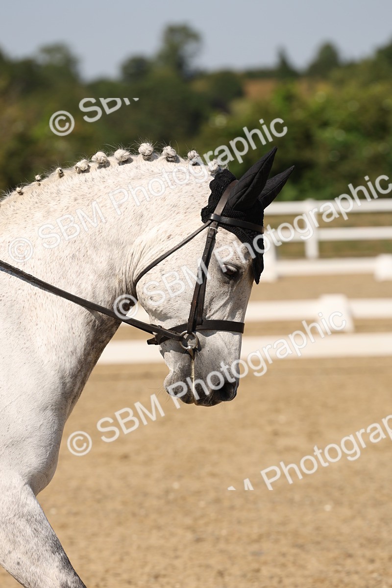 SBM_006325 - Prelim 4 - 15.56-17.51
