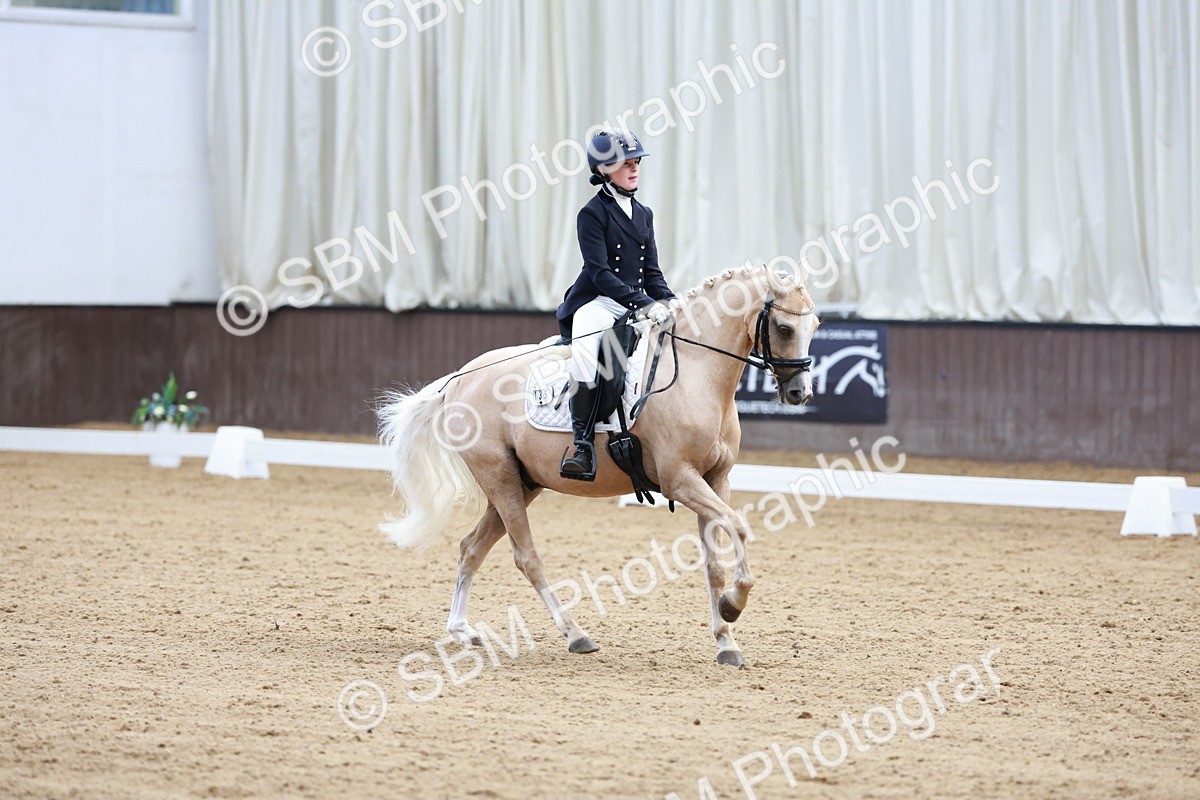 SBM_017400 - Class15 - FEI Pony