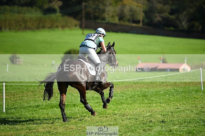 231022-123828-28309 - 307-WELLAN.GRAFFITI-Molly.Evans-XC